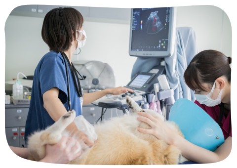 当院で診察した疾患例