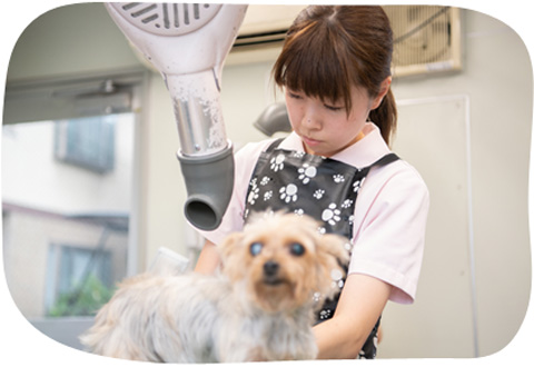 お預け中のトリミングや健康診断も承ります