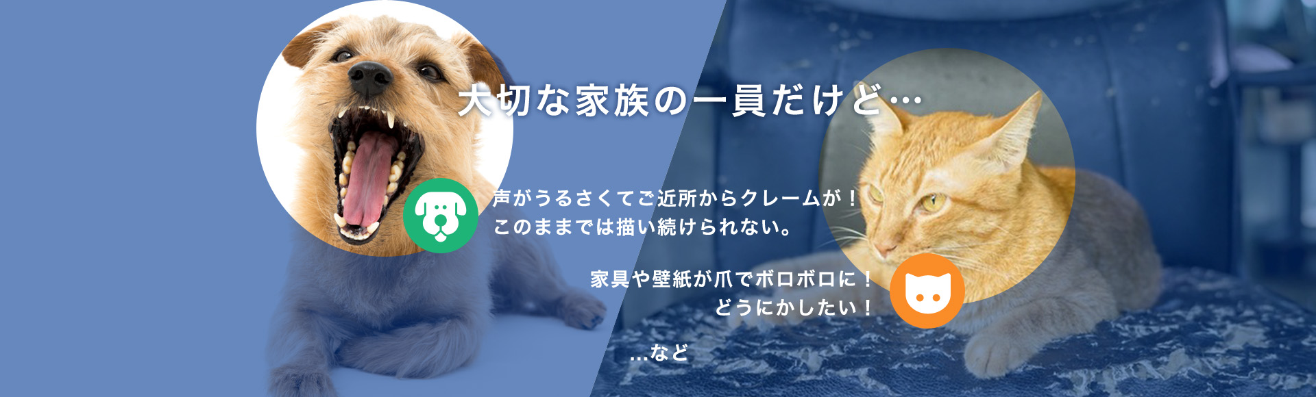 大切な家族の一員だけど…声がうるさくてご近所からクレームが！このままでは描い続けられない。家具や壁紙が爪でボロボロに！どうにかしたい！...など