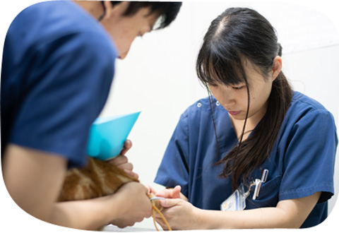 当院で受けられる予防診療