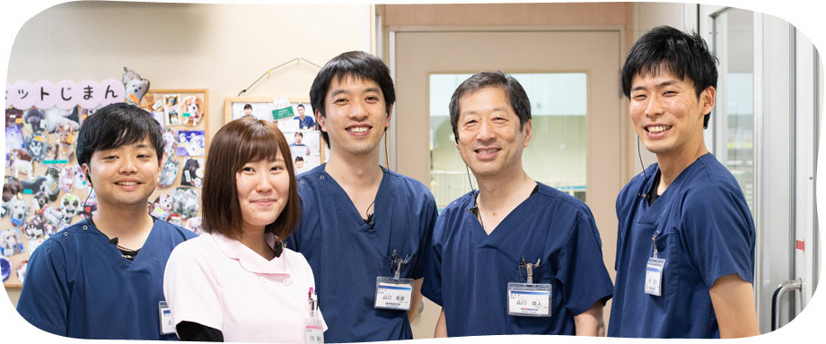 獣医・看護師募集