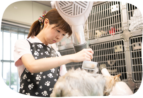 経験豊かなトリマーが担当します