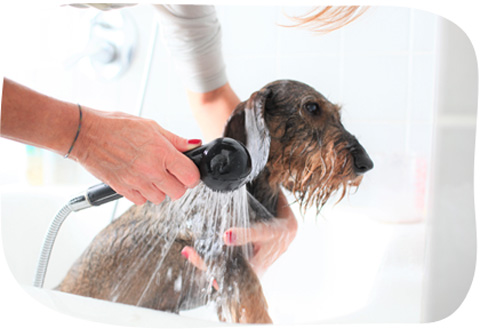 美容だけでなく健康面もトータルケア