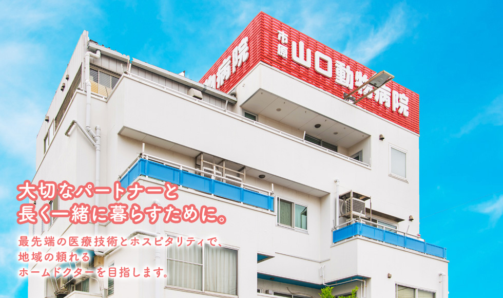 膝蓋骨内方脱臼